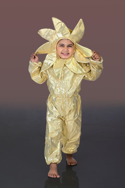 BookMyCostume Sun Nature Kids Fancy Dress Nature Costume